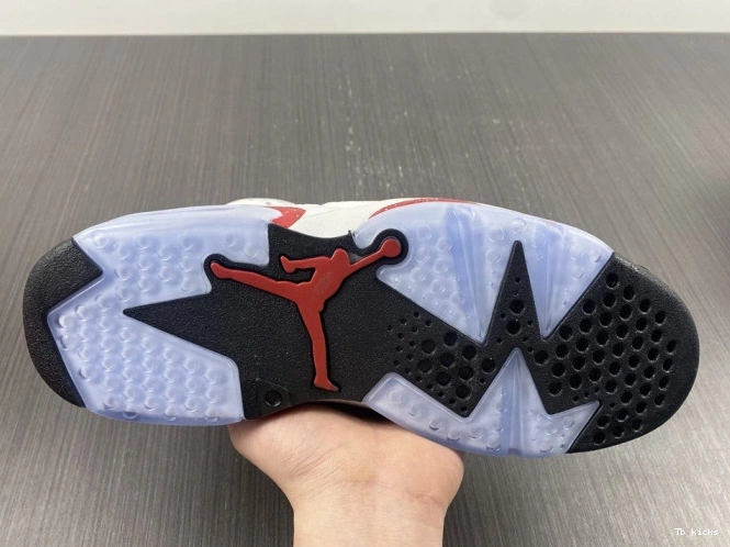 Reps TBK 6 CT8529-162 Jordan Retro Hare 0805